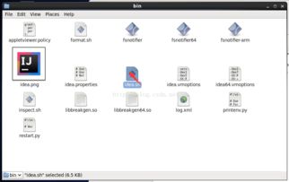 软件开发的多维视角